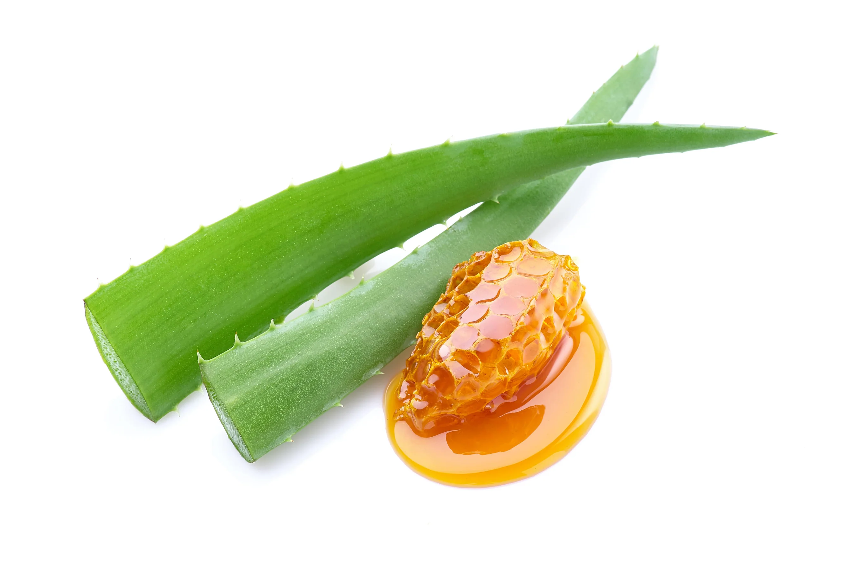 Unabhängiger Distributor von Forever Living Products: Die Vorteile von Aloe First